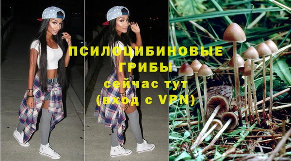ПСИЛОЦИБИНОВЫЕ ГРИБЫ Пролетарск