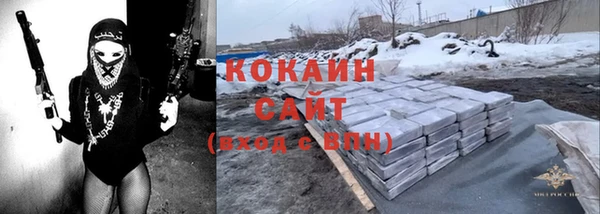 дмт Протвино