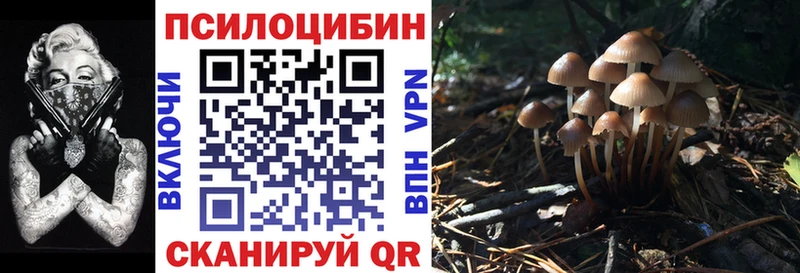Галлюциногенные грибы мухоморы  цены наркотик  Рославль 