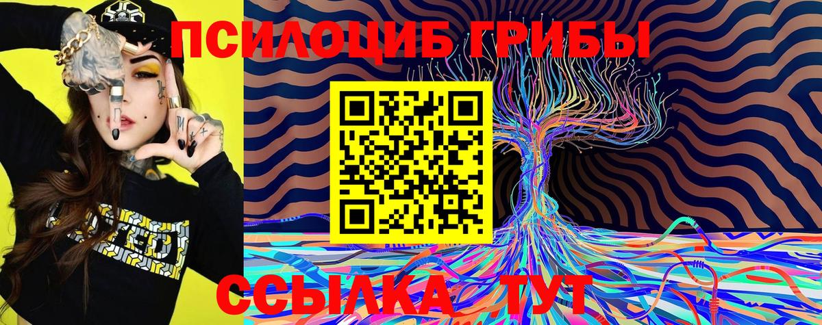 Галлюциногенные грибы Psilocybine cubensis Рославль
