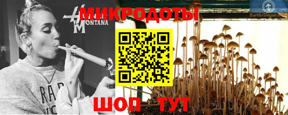 Рославль  Галлюциногенные грибы Magic Shrooms  Вход с VPN 