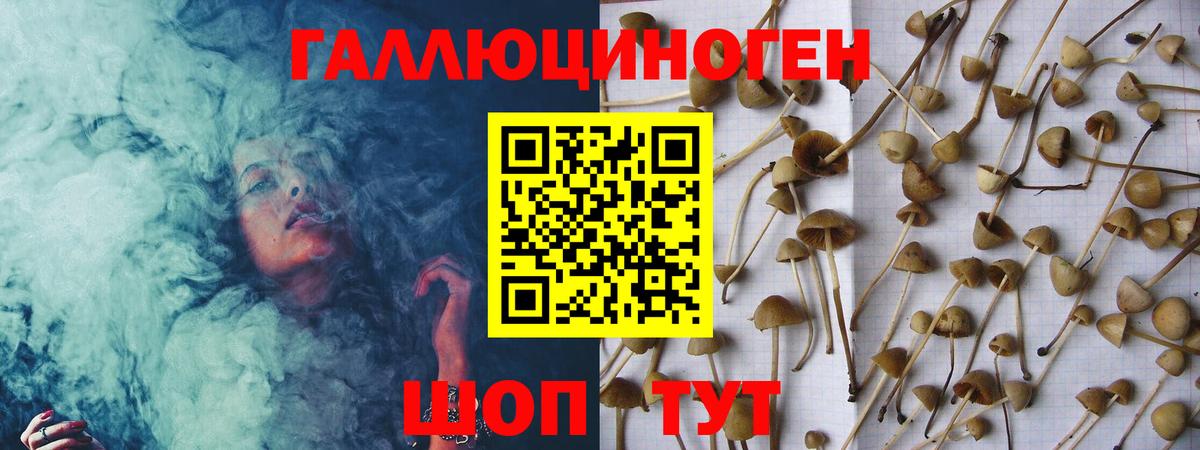 купить закладку  Рославль  Галлюциногенные грибы Magic Shrooms 
